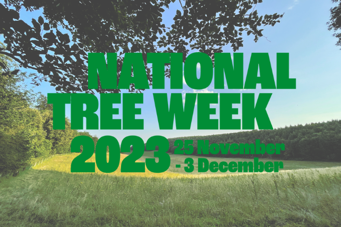 It's National Tree Week this week! We've planted over 160 trees so far this year, check out our blog to see how you could do your bit too. 
wagner-renewables.com/events/nationa…