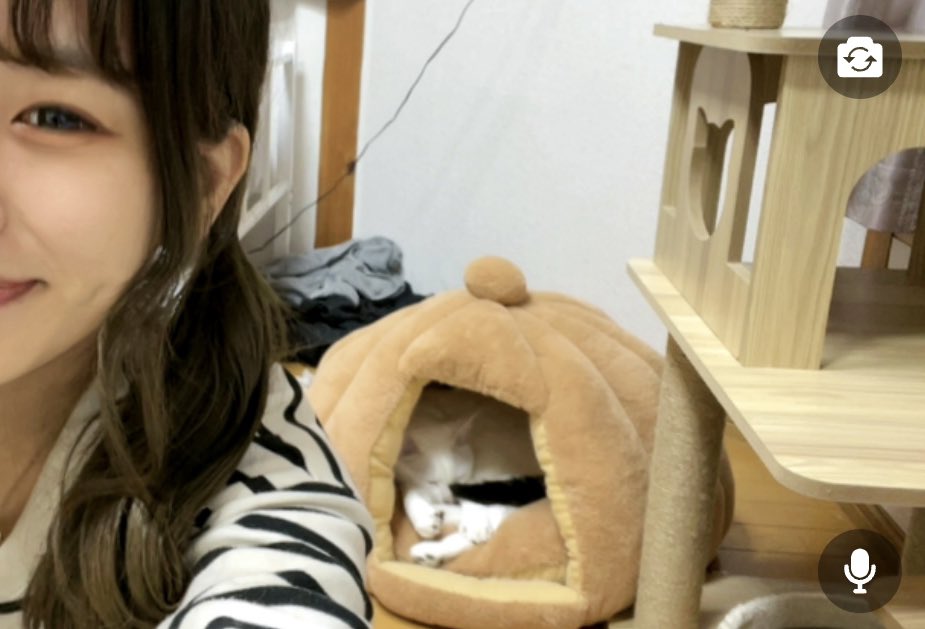 nanairo25252525's tweet photo. 今日は早く寝て明日も仕事頑張る☺️

朝はしんどいけど毎日行く場所があるって幸せかもしれないと思うようになった☺️
配信今日も来てくれた方ありがとう
おやすみかん🍊 https://t.co/j1Tu82A9eq