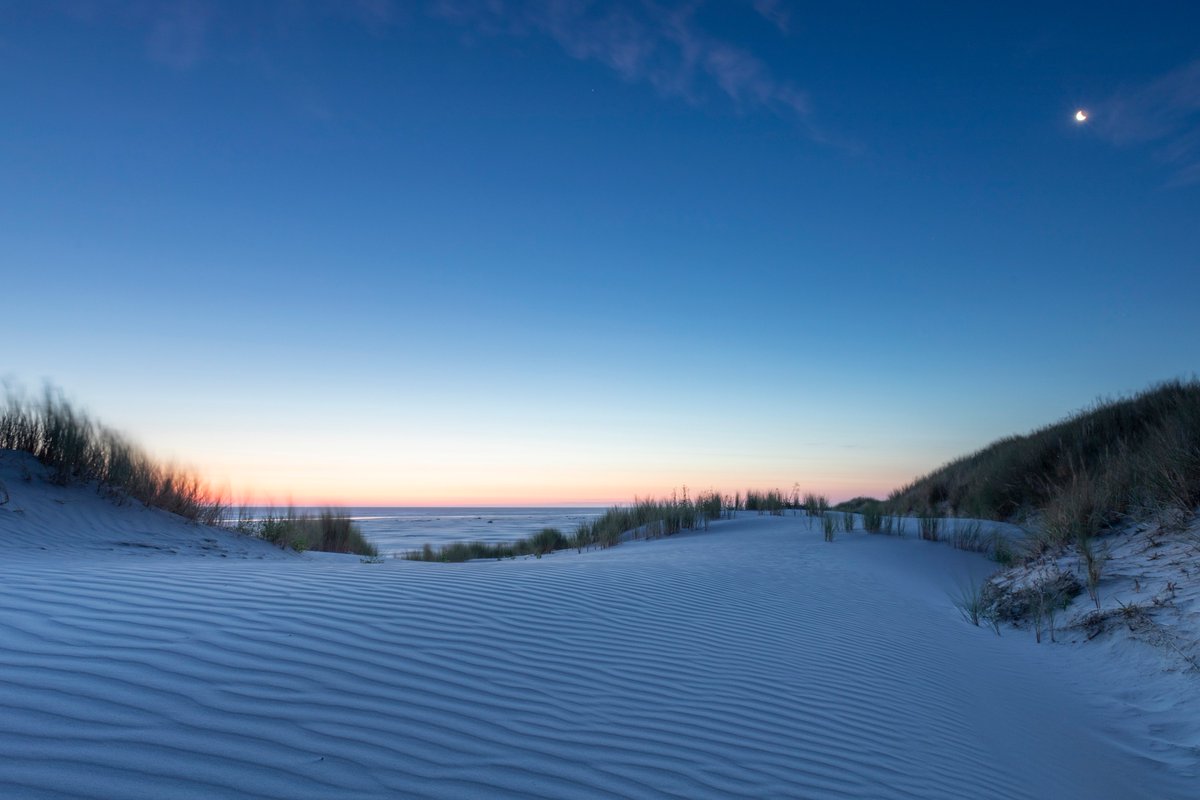 Zie de maan schijnt... 
Geniet hier van prachtige (winterse) plaatjes van waddeneiland Ameland 😍

vvvameland.nl/getinspired