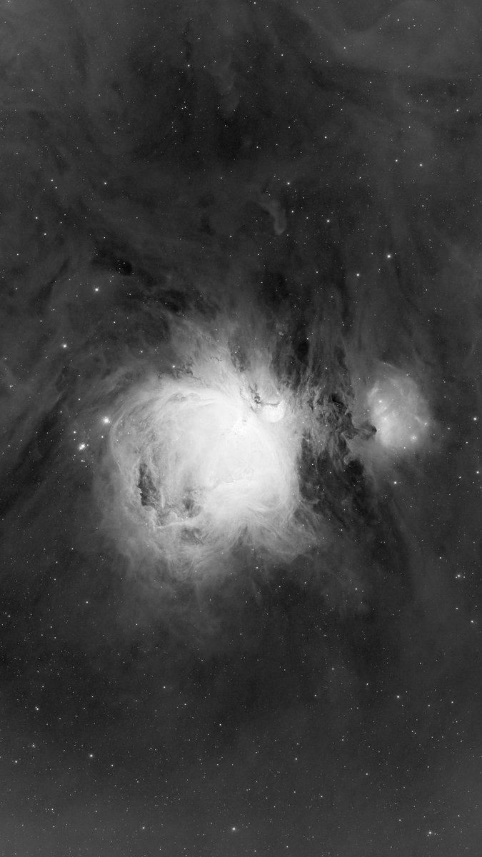 First light on m42 this year - 3 hours on HA on the RASA - #Astrophotography