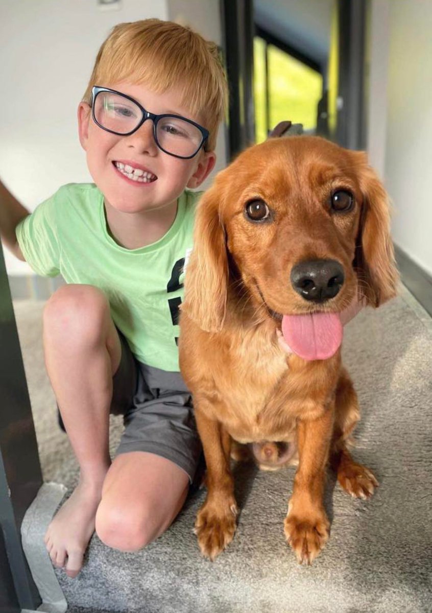 Can <a href="/CheshireFire/">Cheshire Fire and Rescue Service</a>, <a href="/cheshirepolice/">Cheshire Police</a> or @helsbypol lend us someone with a THERMAL drone who can give us a couple of hours to search for Cooper? He has been lost 7 days near Helsby &amp; it would massively help us (Bindi's Lost &amp; Found Pets) search specific areas🙏 DM me pls #findcoop