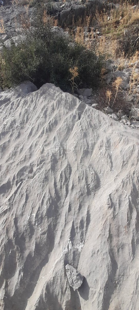 TSerhal's tweet photo. The outcrop... the features!
#karst #karren #Barouk #Lebanon https://t.co/4XQETdlGCu