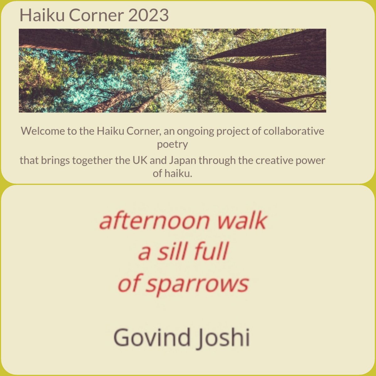 Gjoshi64's tweet image. Many thanks to The Japan Society for including my haiku in the Haiku Corner Week 47 of 2023.
@TheJapanSociety

japansociety.org.uk/haiku-corner#:…

#JapanSocietyHaikuCorner #Walk #Sill #Sparrows 
#Haiku #Senryu #ThePlumBlossoms