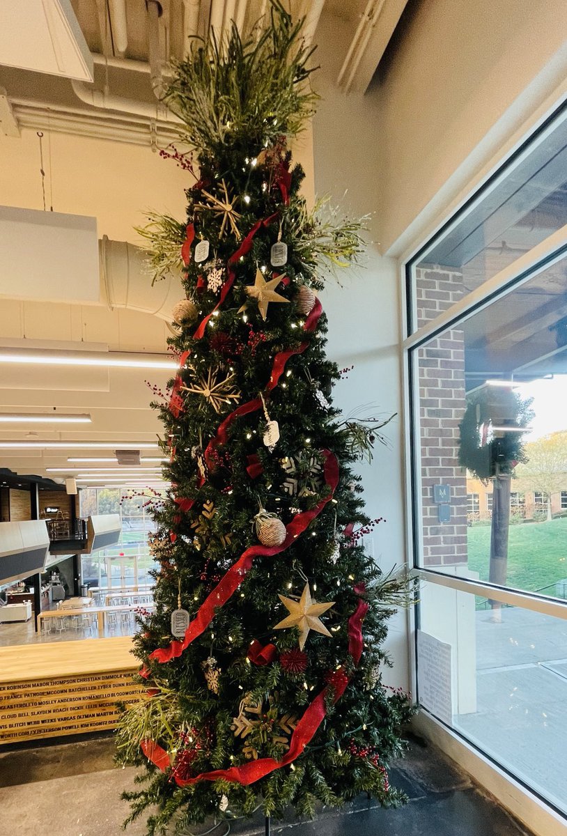 Our amazing MVPN (Mount Vernon Parents Network) decorated trees in every division. Students and faculty commented all day about how excited they are that the trees are up! ⁦@TheMVSchool⁩