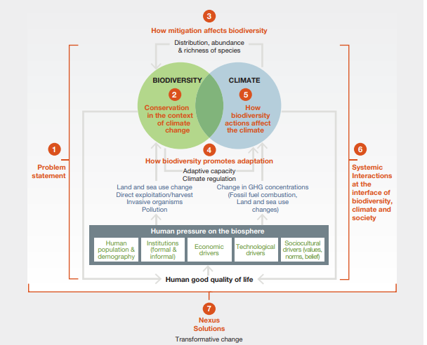 🦋How does mitigation affect biodiversity?
🌧️How do biodiversity actions affect the climate?
〰️How does biodiversity promote adaptation?

Learn more w/ #BiodiversityClimateScience from <a href="/ipbes/">ipbes</a> &amp; <a href="/ipcc_ch/">IPCC</a> co-sponsored w/shop report ipbes.net/biodiversitycl…