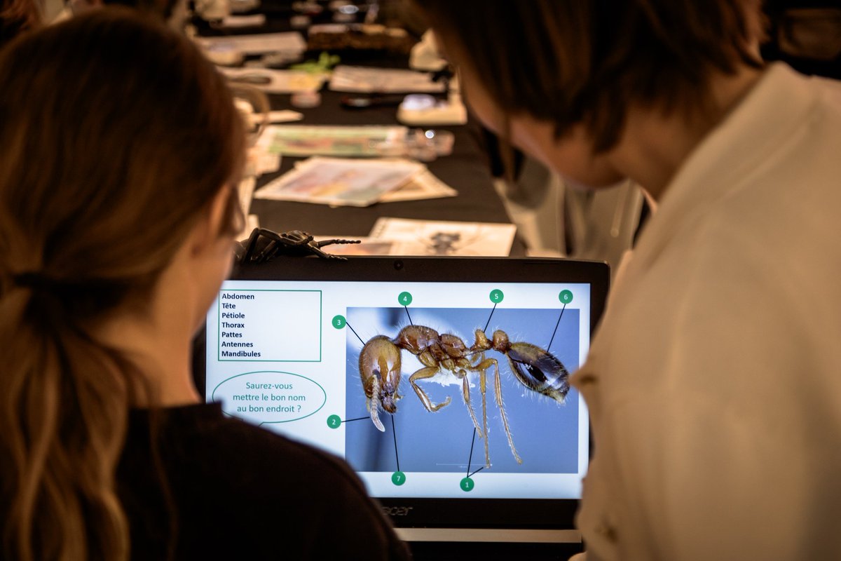 WalkerAnnabel2's tweet photo. Retour sur le #SoukDesSciences2023 sous l'oeil du 📸 Fred Bruneau pour @univamu.
> 21 800 personnes ont visité  le centre commercial Avant Cap de Plan de campagne dont 1 700 autour des ateliers comme sur notre stand "fourmidable" 🐜🐜🐜😃 (association E4) https://t.co/WiNaOKfcZo