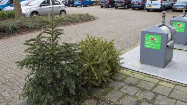 Kerstboom inleveren en geld voor je vereniging verdienen -  dehavenloods.nl/l/50404