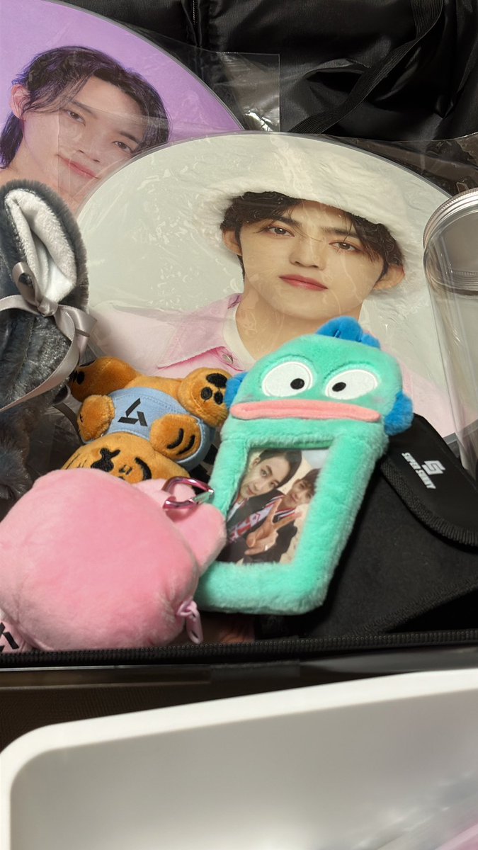 やっぱりクパン連れてくわ