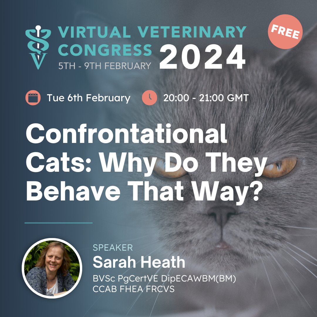 thewebinarvet's tweet photo. #VVC24 session: "Confrontational Cats: Why Do They Behave That Way?" with Dr Sarah Heath! 🐈 Taking place during our Feline Behaviour Evening at our upcoming CPD/CE event Virtual Veterinary Congress 2024.

This session will take place on Tue 6th February 2024 from 20:00 GMT. https://t.co/1kt2SYZz2e