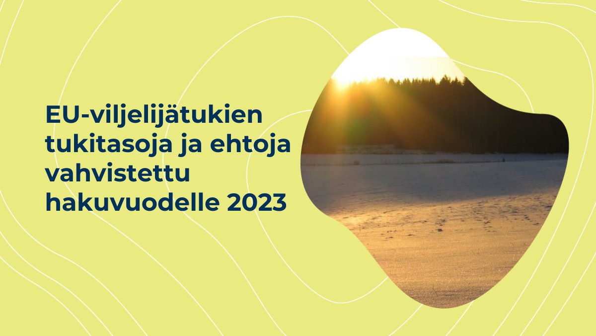 mmm_fi's tweet photo. Maatalouden perustulotuen, monimuotoisuuskasvien ekojärjestelmätuen sekä tärkkelysperunapalkkion ja erikoiskasvipalkkion tukitasot ja ehdot vahvistettiin vuodelle 2023. Ensimmäisessä maksuerässä maksetaan noin 95 % tuista. #maatalous #viljelijät #eutuki https://t.co/HwNfeFQvdD https://t.co/xfXms8E3XF