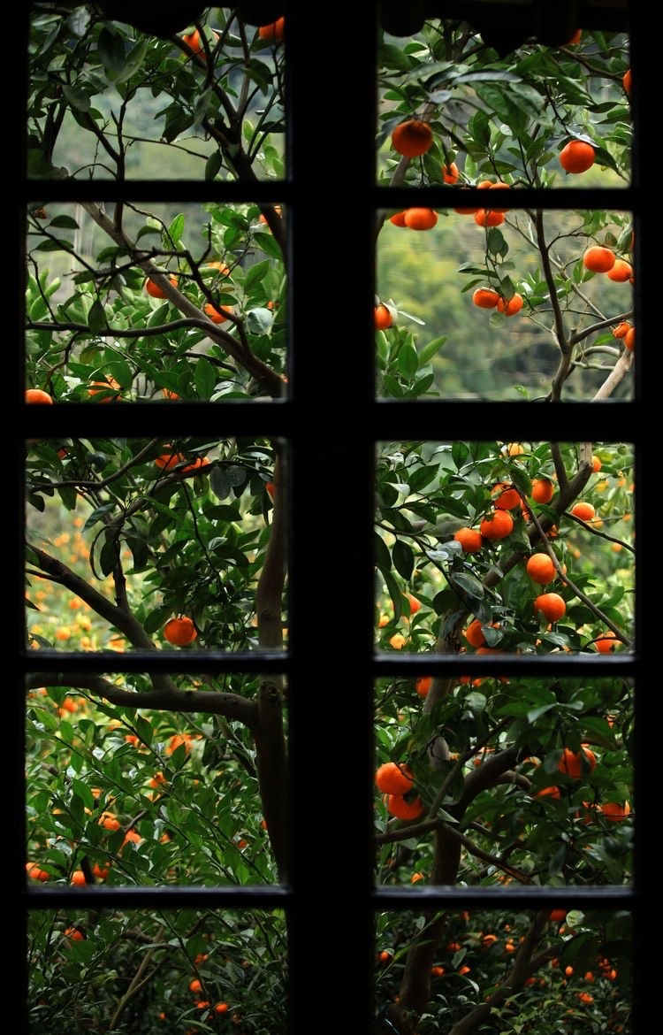 poetical photos. (@poeticalphotos) on Twitter photo 