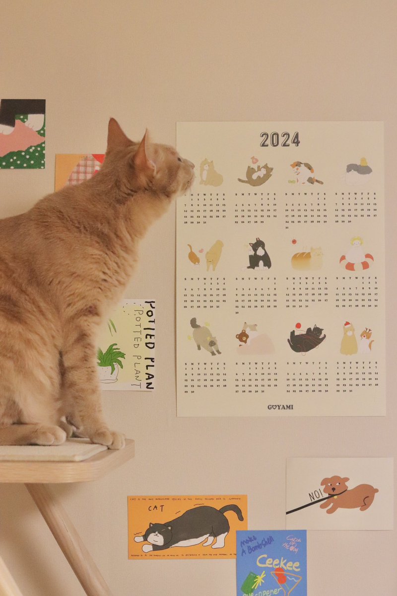 gogala88's tweet photo. 안녕하세요! 이번에 고야미에서 디자인 하고 제작한 2024년 달력을 소개해요. 
12월1일부터 스토어에서 18,000원 이상 구매 고객 모든 분들께 선착순 무료 증정한답니다 🧡 귀여운 달력 받아가세요

https://t.co/2ZF2afI8eC https://t.co/5stm4csMho