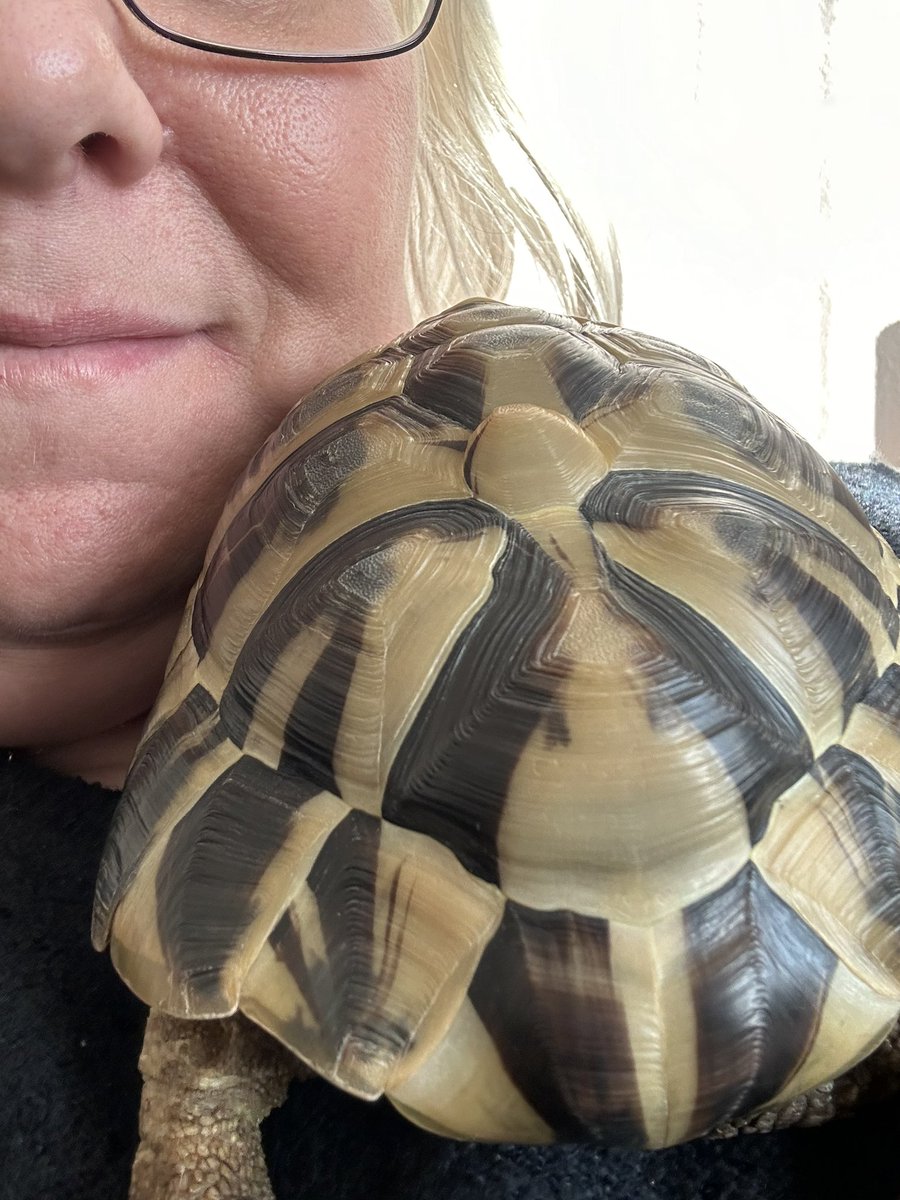 Hewie and Willow tweet media