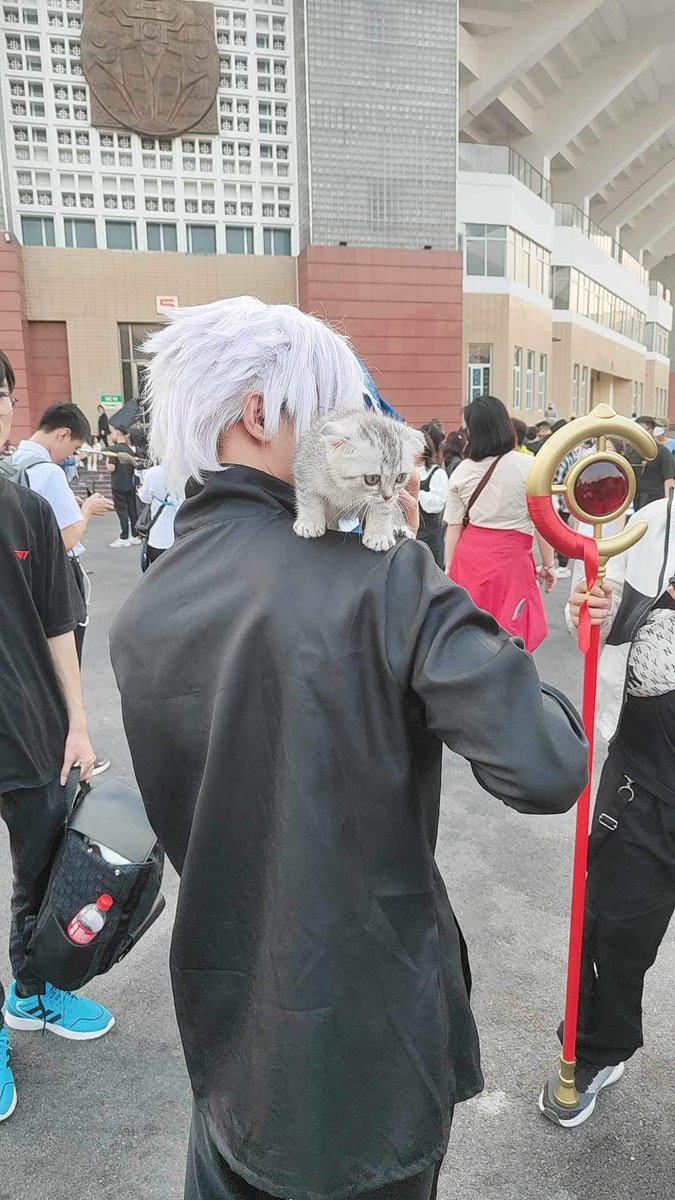 Naughty meomeo and Gojo
Coser: FB Hoang minh