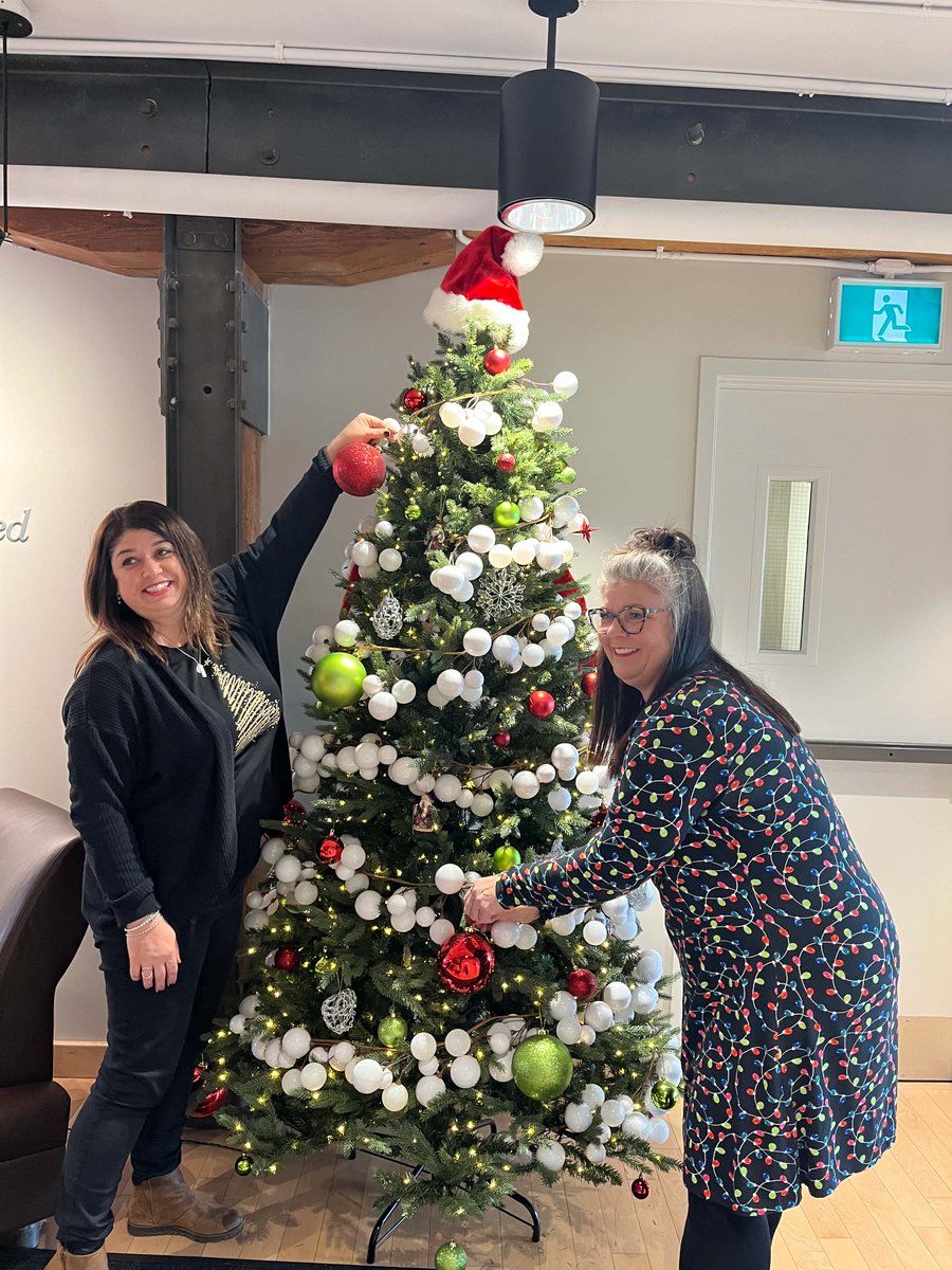 CPLProperties's tweet photo. Holiday decorating fun at the CPL office today 🎄#OfficeFun #HolidaySeason #FeelingFestive https://t.co/8gpYPdzhUP
