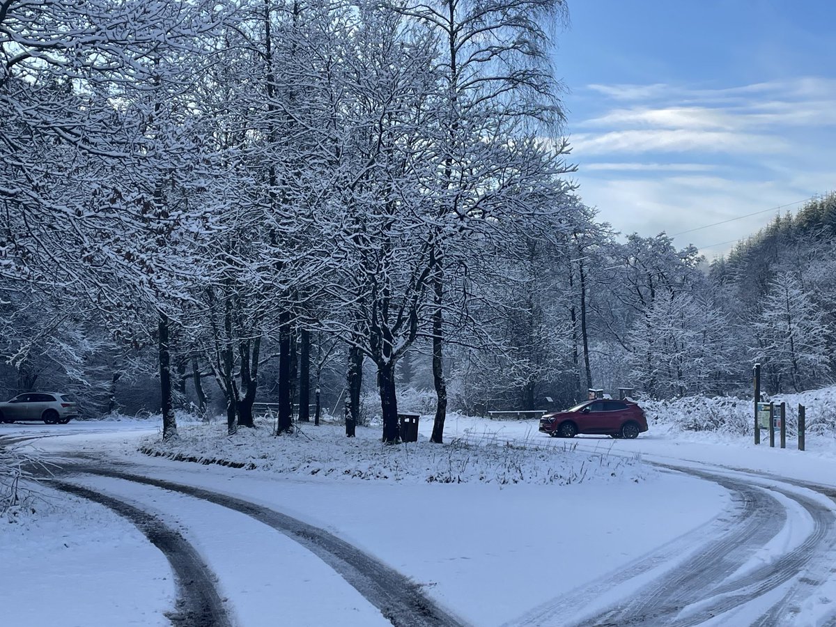 MalleyAndrew's tweet image. ⁦@DalbyFriends⁩ Snowy scenes in the forest over the last couple of days. Small numbers of Bramblings still around Adderstones and Haygate and Crossbills also in both areas.