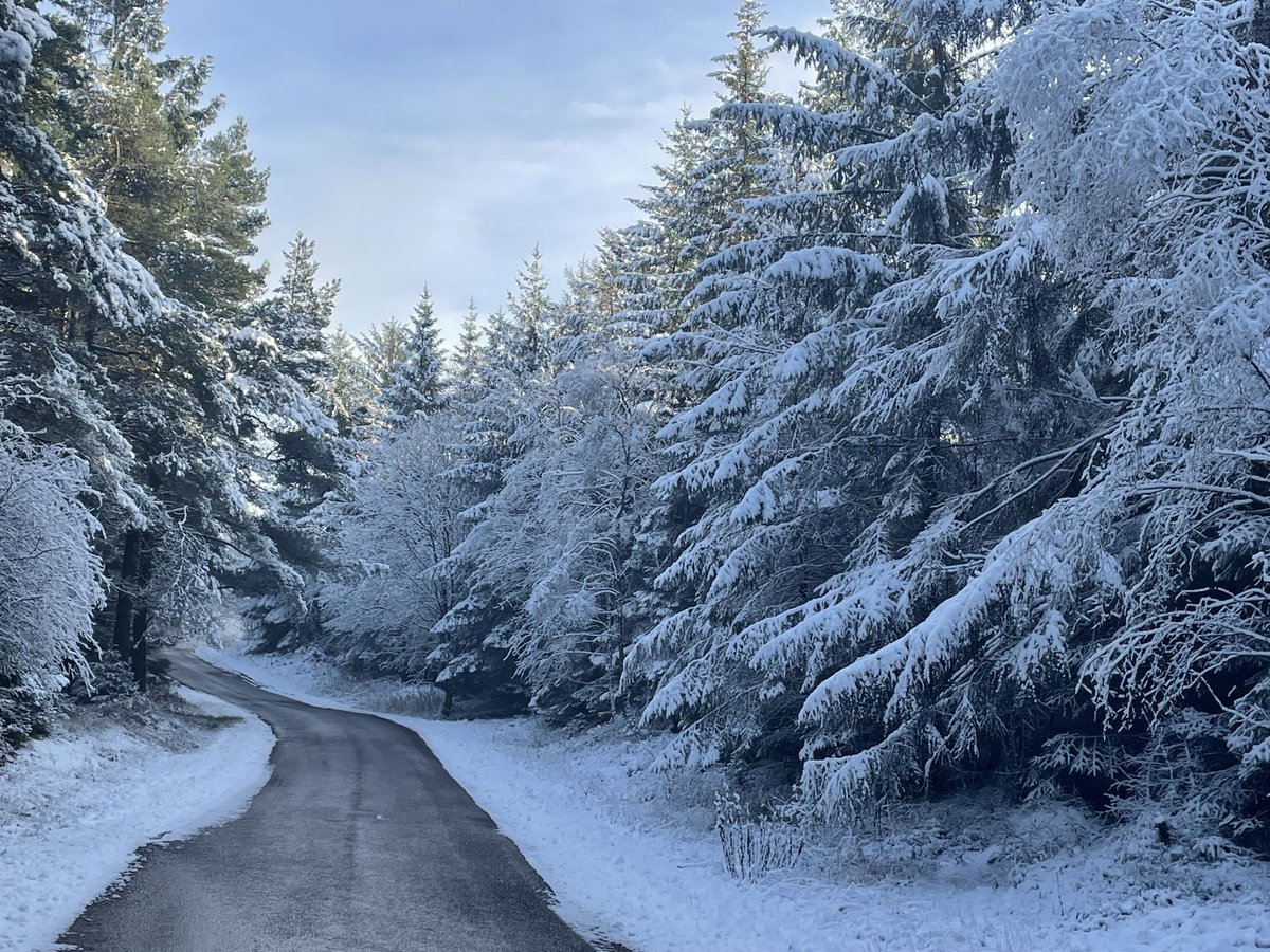 MalleyAndrew's tweet image. ⁦@DalbyFriends⁩ Snowy scenes in the forest over the last couple of days. Small numbers of Bramblings still around Adderstones and Haygate and Crossbills also in both areas.