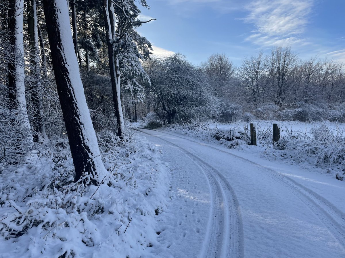 ⁦<a href="/DalbyFriends/">Friends Of Dalby Forest🌲🦉🌲🌳🌲🦡🌲 🦌🕷🌲🦔🌳</a>⁩ Snowy scenes in the forest over the last couple of days. Small numbers of Bramblings still around Adderstones and Haygate and Crossbills also in both areas.