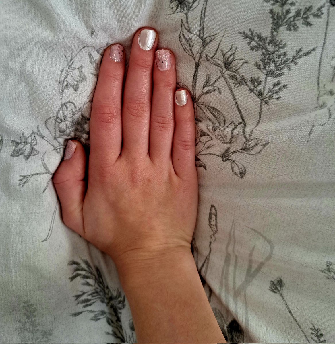 Emily Moule tweet media