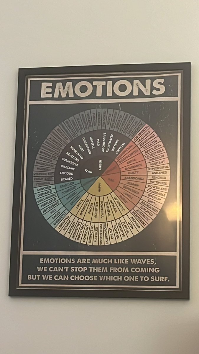 “Emotions are much like waves, we can’t stop them from coming but we can choose which ones to surf” - poster at my therapists office