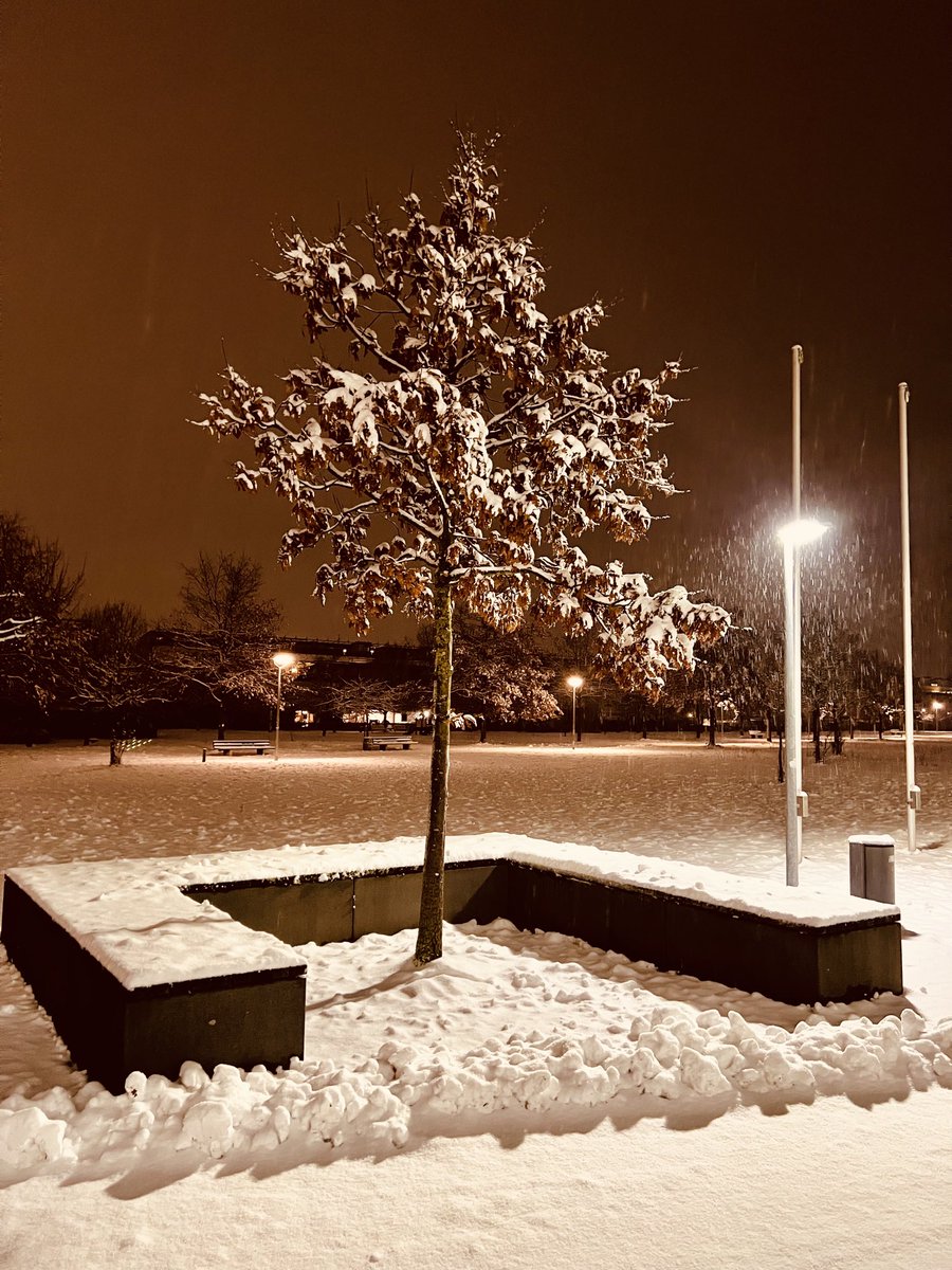 Es ist Winter in Trudering- gleich beginnt die letzte Bürgerversammlung des Jahres. Mal schauen, wer durch den Schnee stapft, um seine politischen Interessen zu vertreten.😁