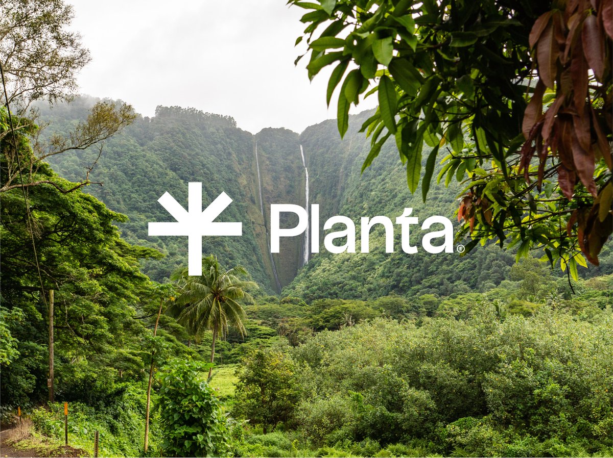 erikbydesign's tweet image. Brand concept for a plant-a-tree subscription