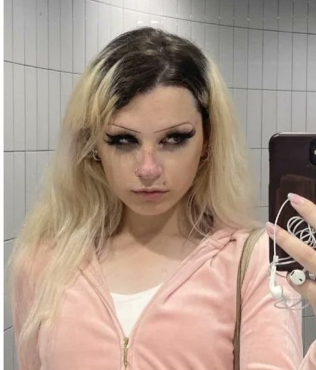 HamgieReloaded's tweet photo. @pipdidart @ken_bean Youre completly fine with sending trans women to men spaces when its far more likely for them to get assulted there and you want to justify it without proof that it is dangerous for cis women, i will ask you this thing you think this person would be safe in men's spaces? https://t.co/Tacip82WRi