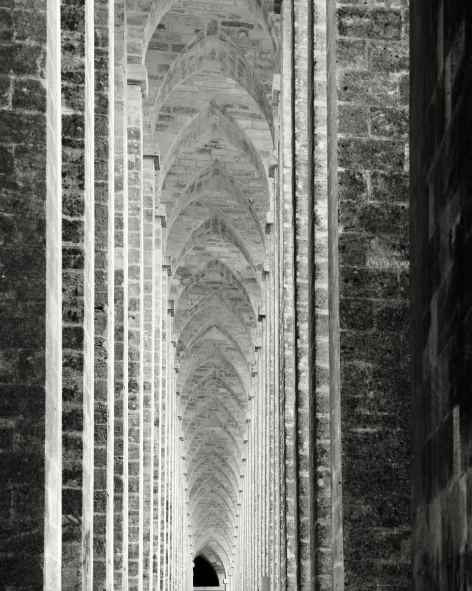 denisolivierart's tweet photo. NEW! Arched Vault, Cubzac Bridge, Saint-Vincent-de-Paul, France. October 2023. Ref-11787: Get prints https://t.co/gXdDTmFkYc
@hasselblad #blackandwhitephoto #pontdecubzac #aquitaine @kodak #arched #ogive @kodak_shootfilm #nouvelleaquitaine #photography @nvelleaquitaine #vault… https://t.co/0Fl5X9UVvm