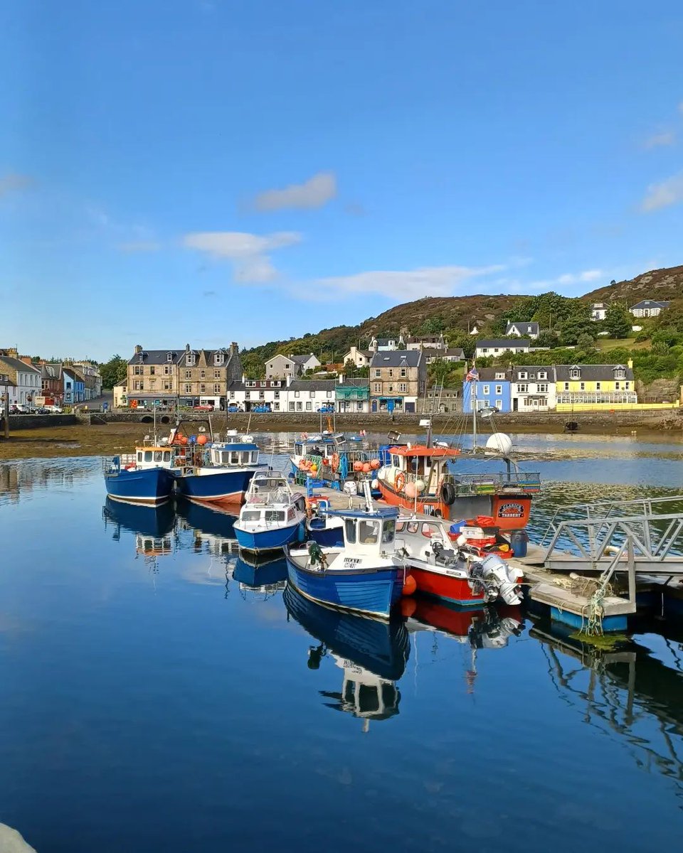 Wild About Argyll | Scotland’s Adventure Coast (@wildaboutargyll) on Twitter photo Backed by rugged hills and fronting a quaint fishing harbour, the village of #Tarbert is often seen as the gateway to the beautiful peninsula of #Kintyre — making it a great base for your next #Argyll adventure. 🤩
📷 <a href="/Heartofargyll/">Heart of Argyll</a>
Discover more 👇
hubs.li/Q029ZZyz0 Backed by rugged hills and fronting a quaint fishing harbour, the village of #Tarbert is often seen as the gateway to the beautiful peninsula of #Kintyre — making it a great base for your next #Argyll adventure. 🤩
📷 <a href="/Heartofargyll/">Heart of Argyll</a>
Discover more 👇
hubs.li/Q029ZZyz0