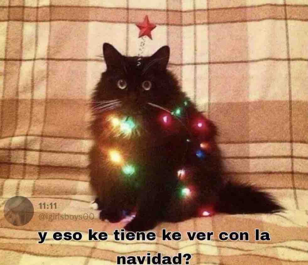 Guarromantico_'s tweet photo. *El profesor diciéndome que reprobé*

– Yo: https://t.co/tuLoAKpvAh