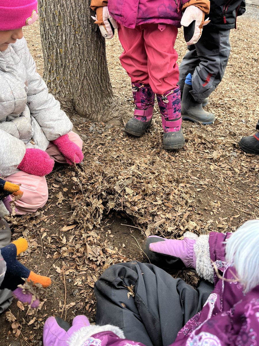 Summer Henry tweet media