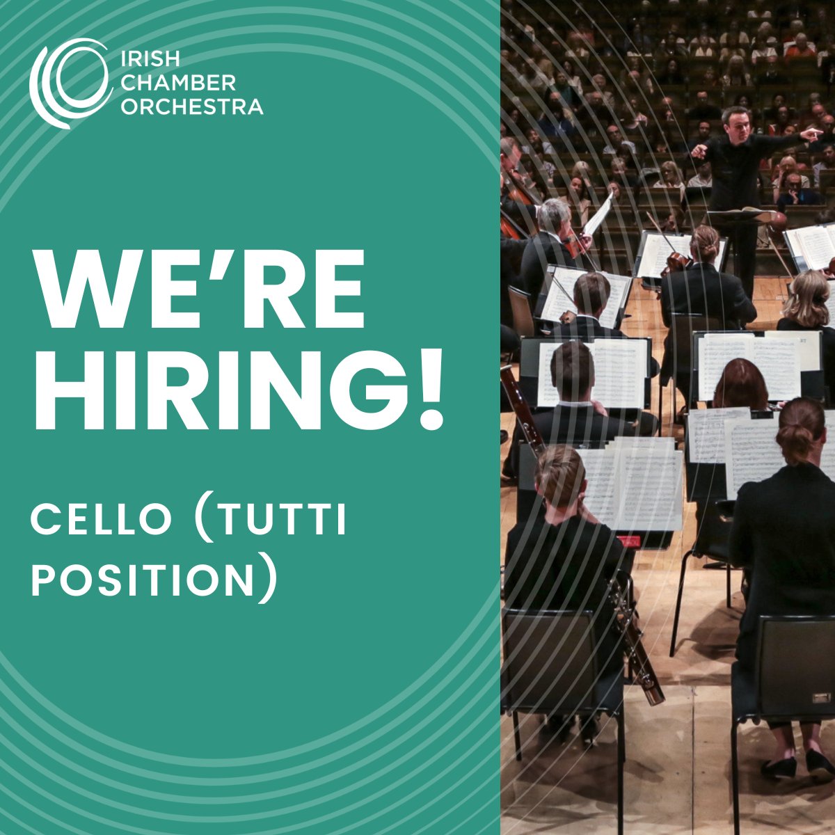 Join us! The Irish Chamber Orchestra invites applications for a Cellist (Tutti Position). The closing date for applications is December 22nd 2023 by 5pm, so apply now! Find out more: irishchamberorchestra.com/about/job-vaca… #MusicJobs #ClassicalMusicJobs #JobOpportunity #IrishMusic