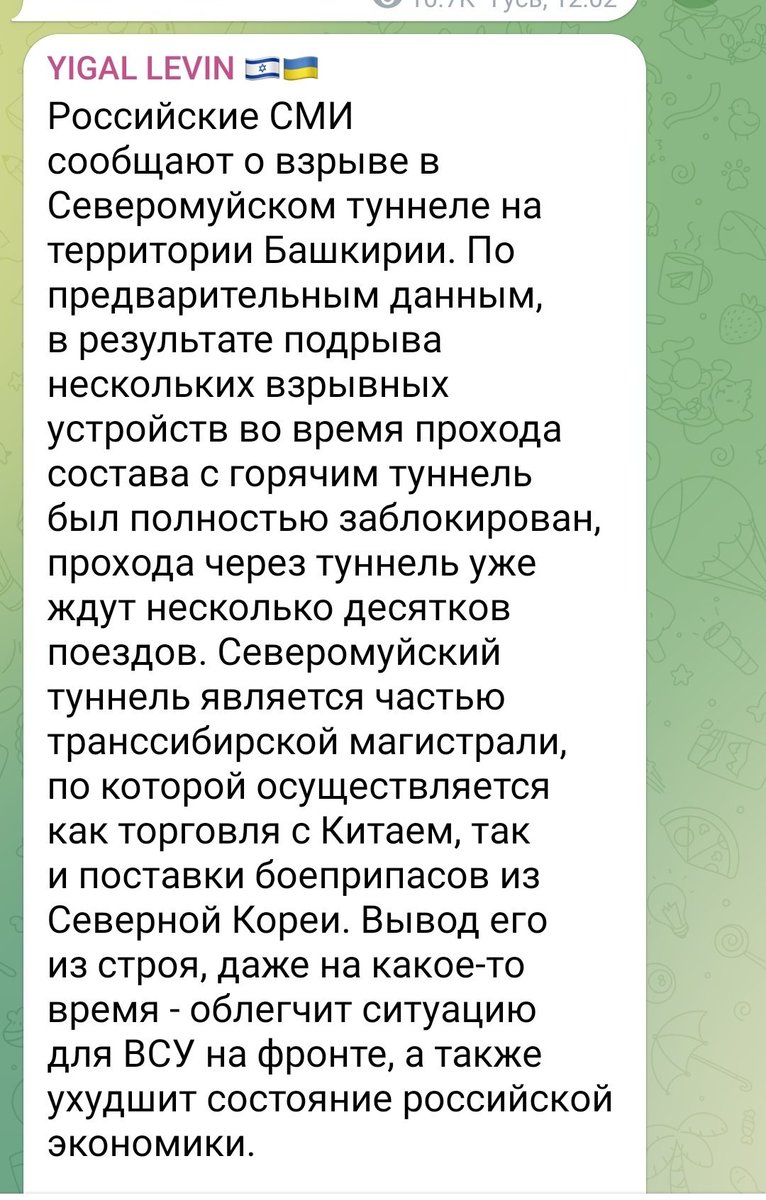 Баба і кіт tweet media
