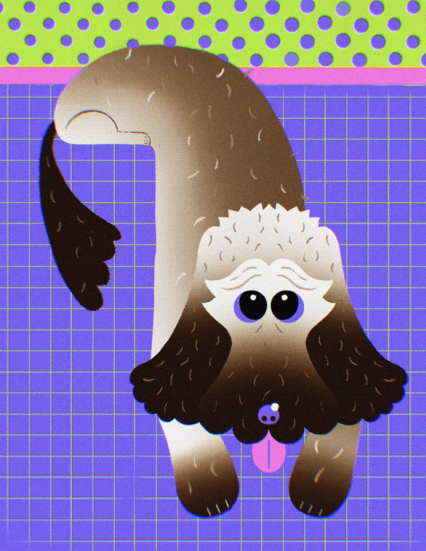 Cat Tervo tweet media