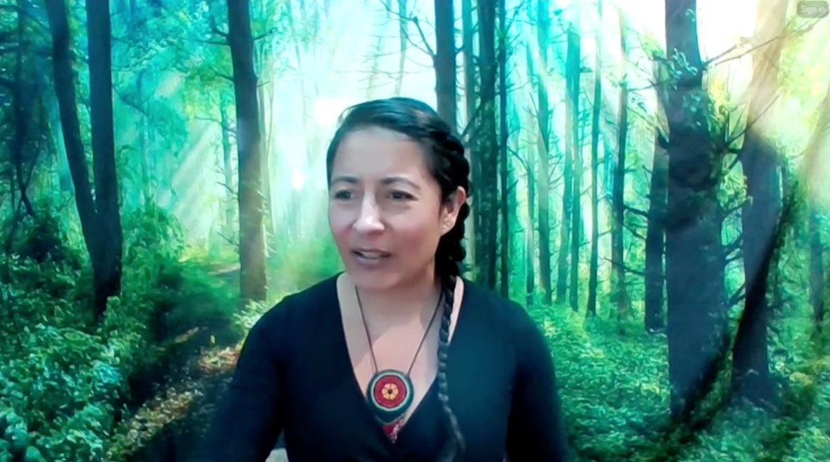 "Planetary flourishing is the recognition of the interconnectedness that binds us to Mother Earth's pluralities...

This panel discussion aims to challenge us to view our home planet, not as a resource, but as the core living participant in the relationships that shape our