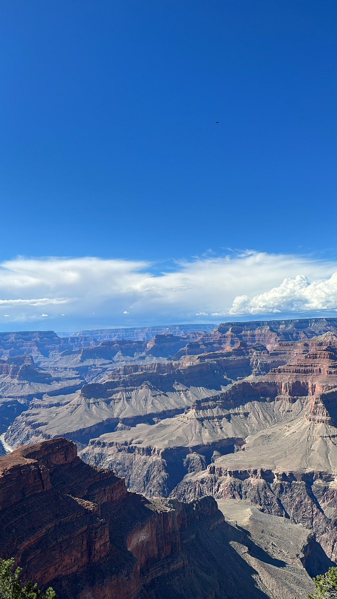 durdenls's tweet image. 