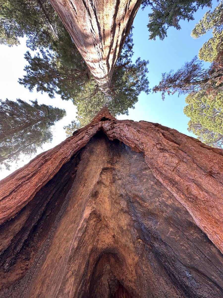 durdenls's tweet image. 