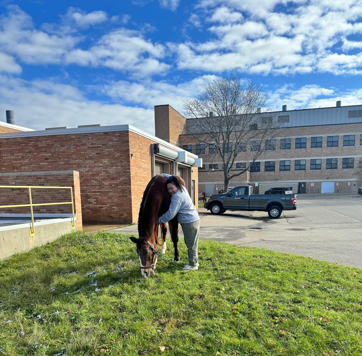 MSU Veterinary Medicine tweet media