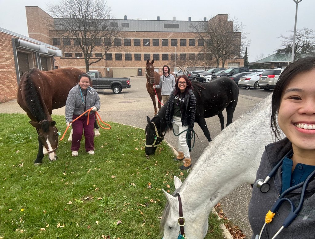Making friends on your large animal rotation. 🐴