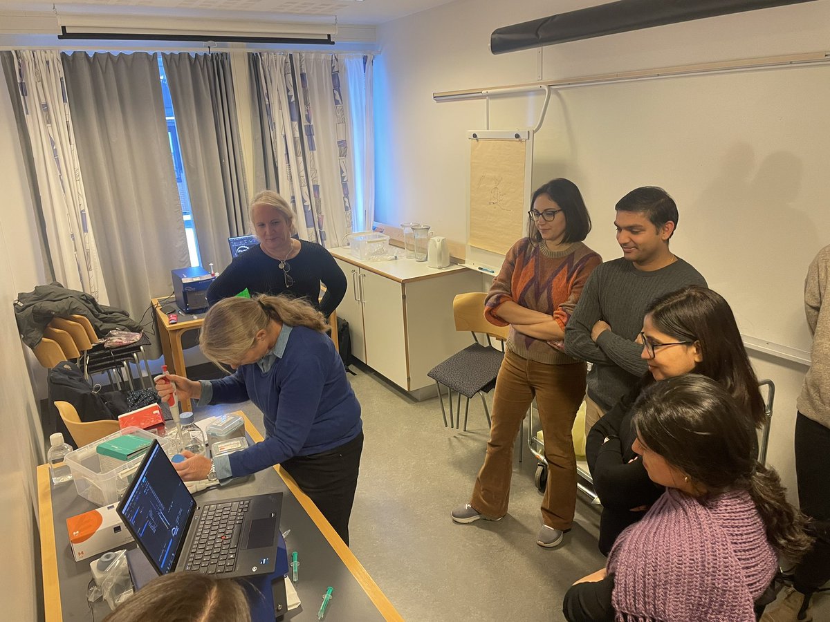 Beate Vestad tweet media