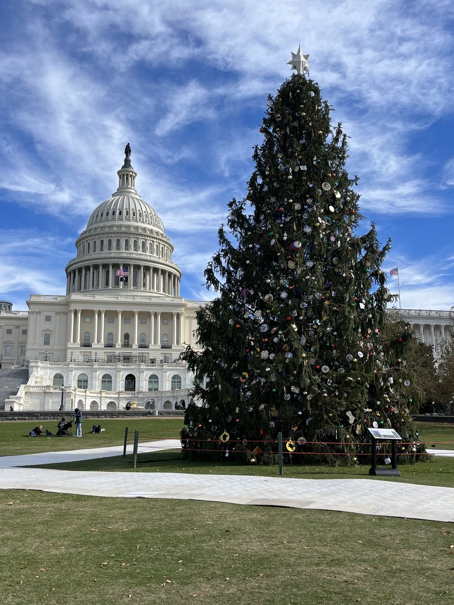 revmahoney's tweet photo. It’s beginning to look a lot like Christmas! The United States Capitol Christmas tree, standing as a powerful witness to the Christmas season and message! #PeaceOnEarth #GoodwillTowardMen #Christmas https://t.co/pl3vp13tWq