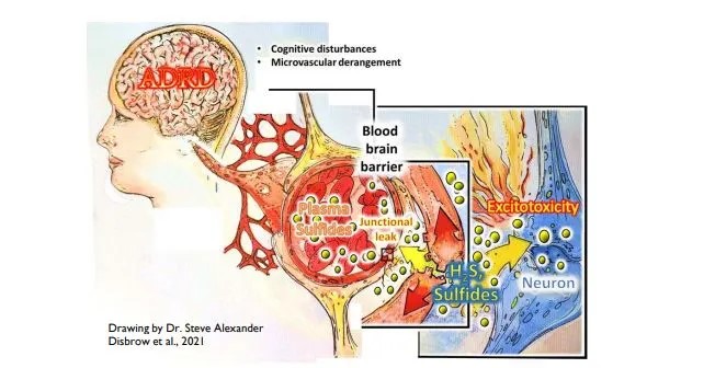 Center for Cardiovascular Diseases and Sciences tweet media