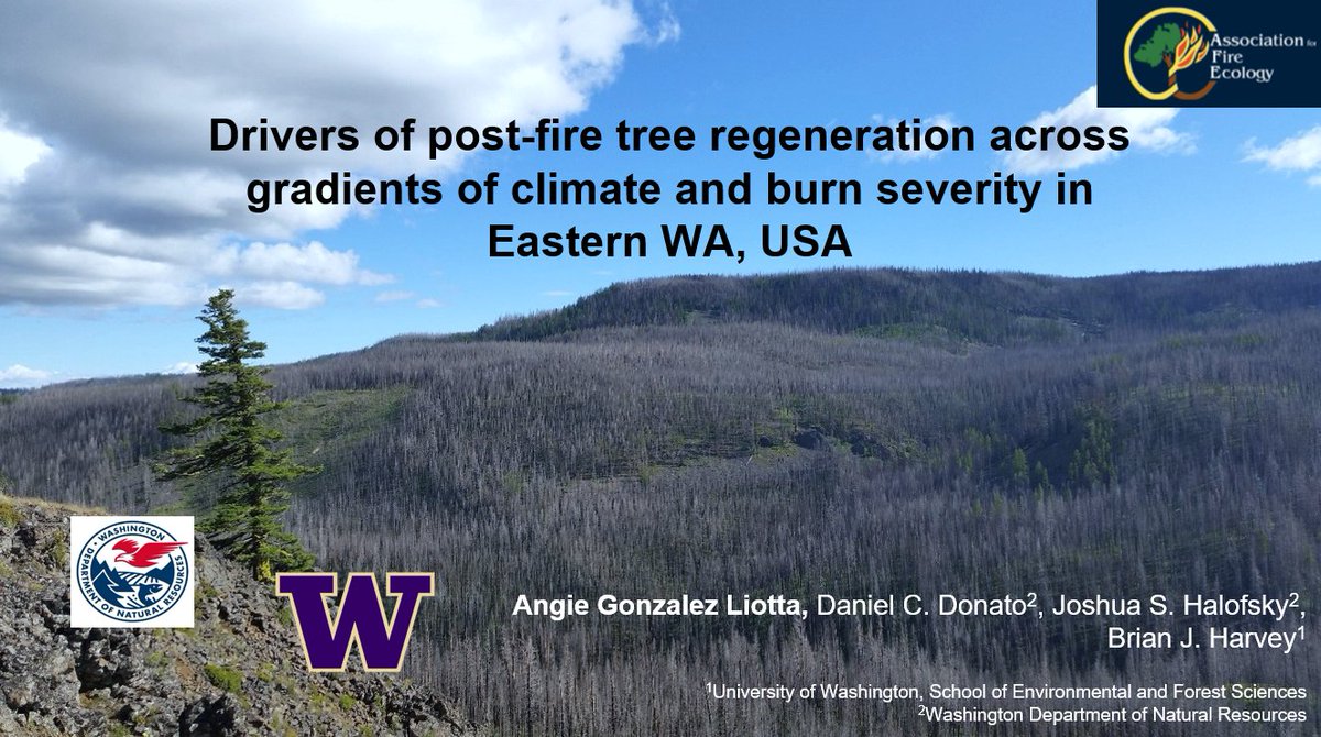 Attending #FireCon2023 next week? Come find me and check out my talk! <a href="/fireecology/">Association for Fire Ecology</a>