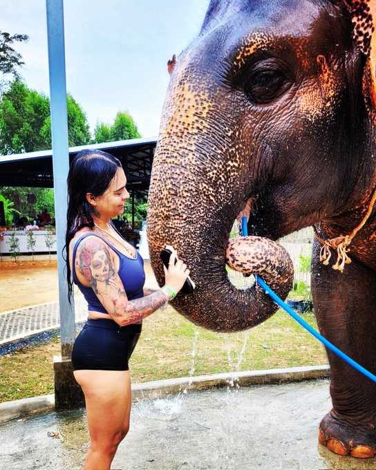 Hace tiempo so&ntilde;e que me ba&ntilde;aba con elefantes 🐘 les platique mi sue&ntilde;o y se burlaron de mi  Hoy mi sue&ntilde;o