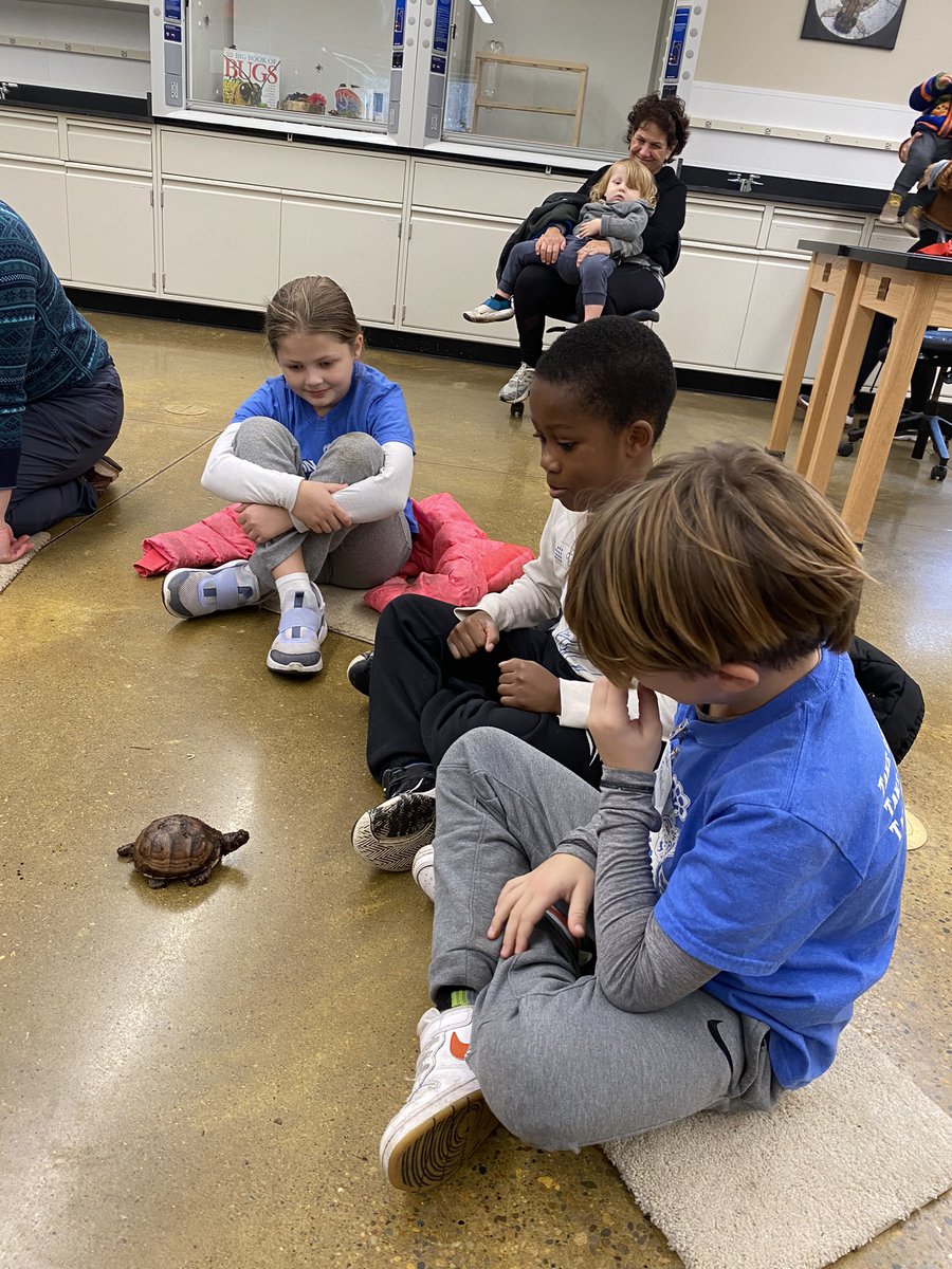 Bellar Bunch tweet media