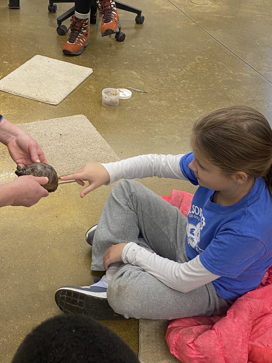 Bellar Bunch tweet media