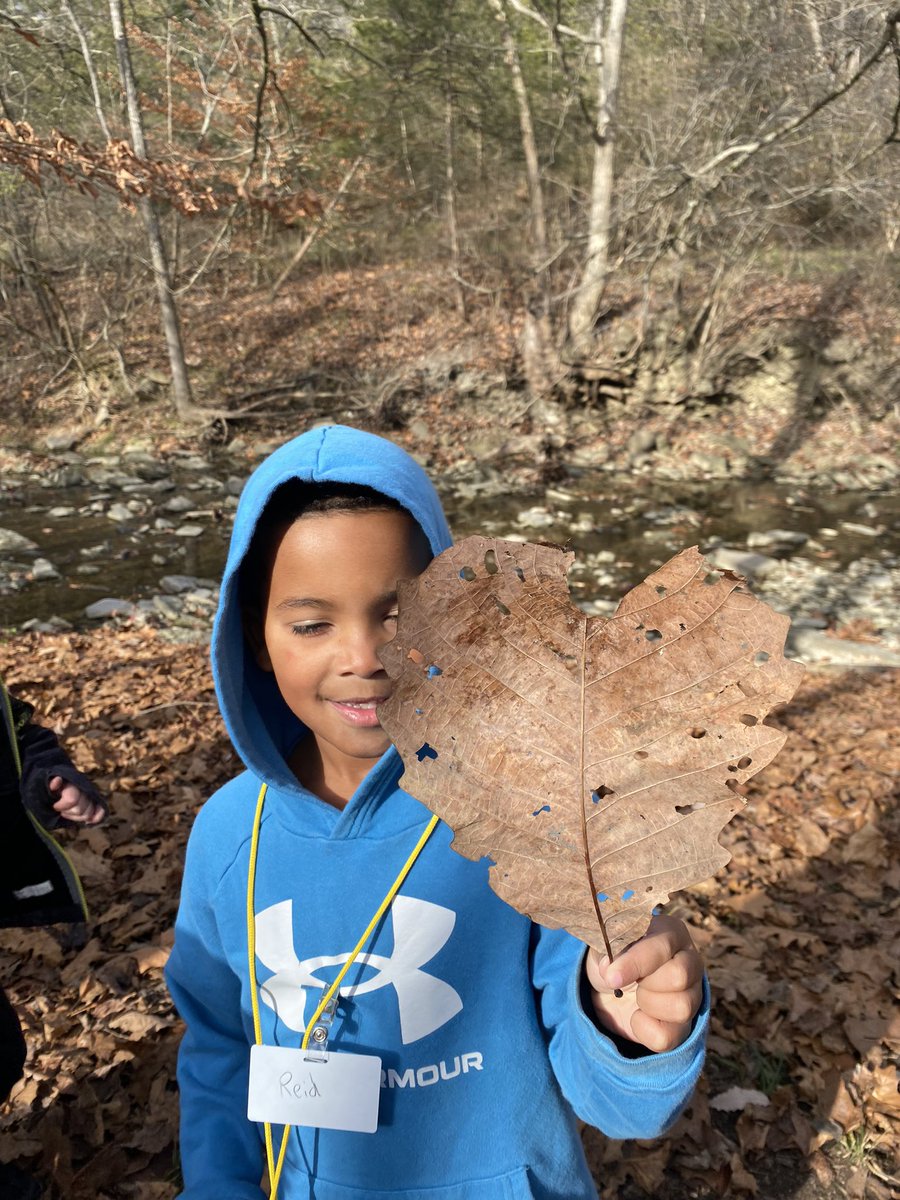 Bellar Bunch tweet media