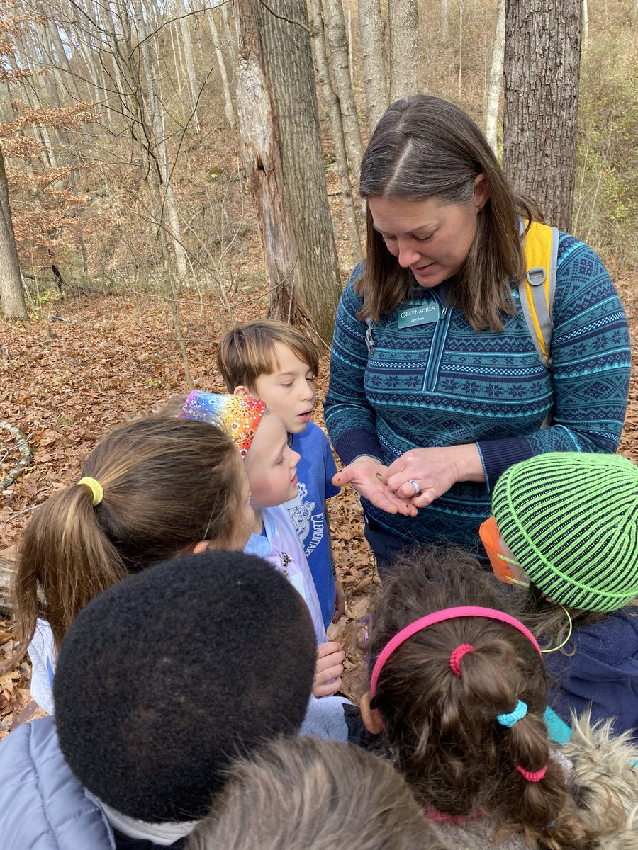 Bellar Bunch tweet media