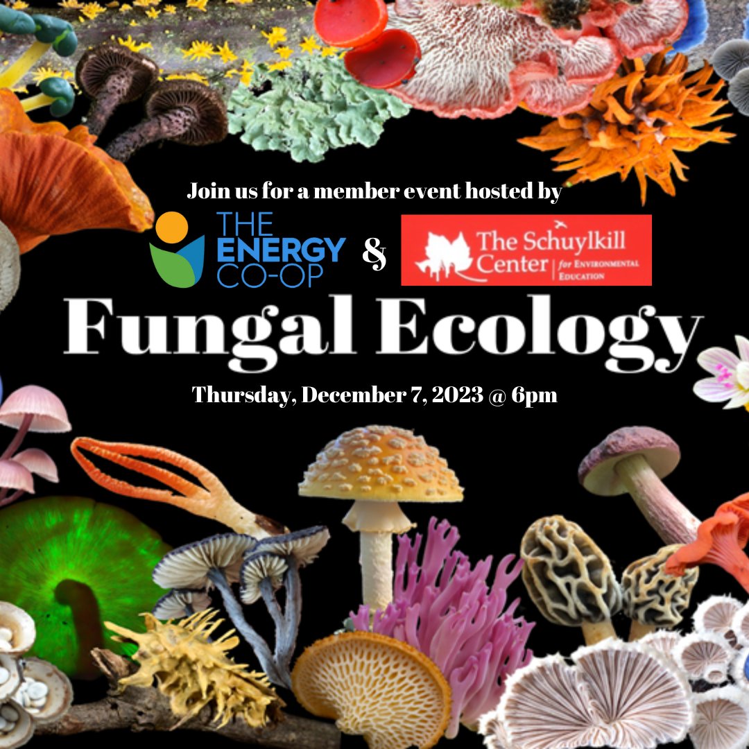 Join us one week from today for a webinar presented by <a href="/SchuylkillCtr/">Schuylkill Center</a>. Register on our website’s upcoming events page! #localfungi #fantasticfungi #pennsylvaniafungi #mushrooms #forage #foraging #wildmushrooms #mushroomsofinstagram #cleanenergy #nature #environmentaleducation