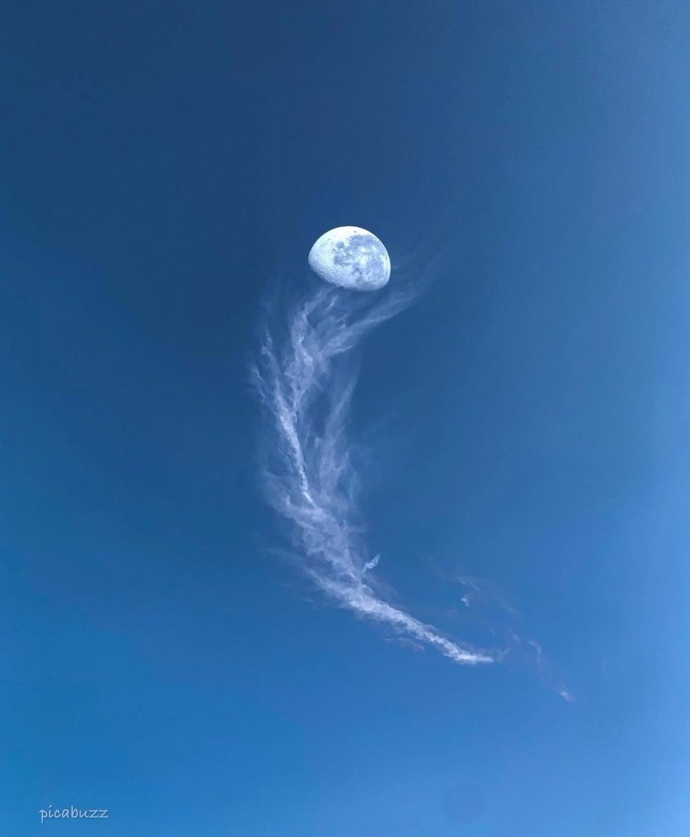 Moon Lover